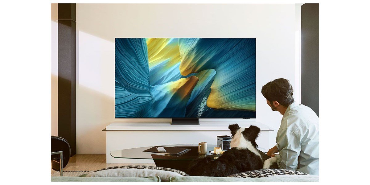 Samsung TQ77S95F - Téléviseur OLED 4K de 196 cm